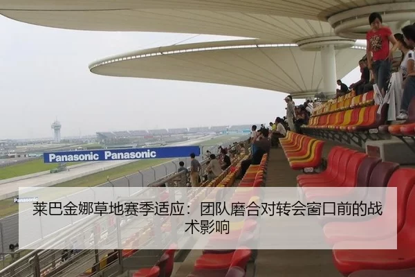 莱巴金娜草地赛季适应：团队磨合对转会窗口前的战术影响